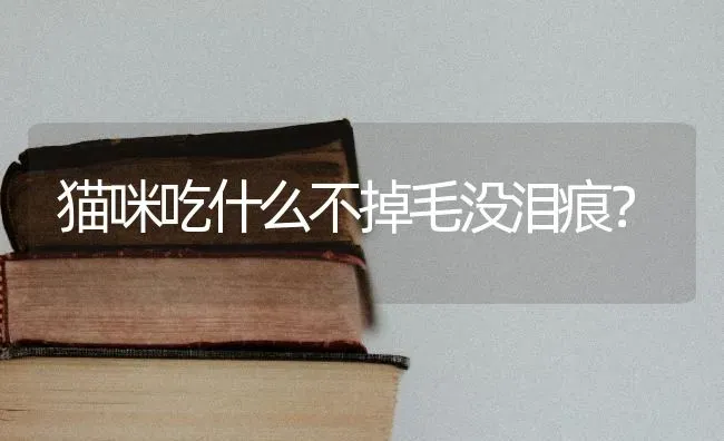 狗狗没精神，喘粗气，走几步就趴下，喝很多水，怎么回事？ | 动物养殖问答