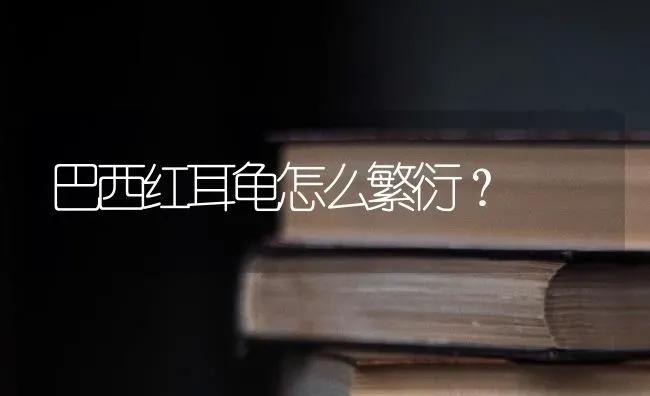 巴西红耳龟怎么繁衍？ | 动物养殖问答