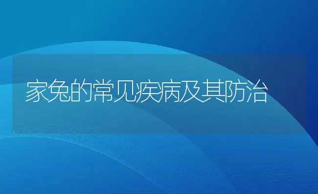 家兔的常见疾病及其防治 | 动物养殖学堂