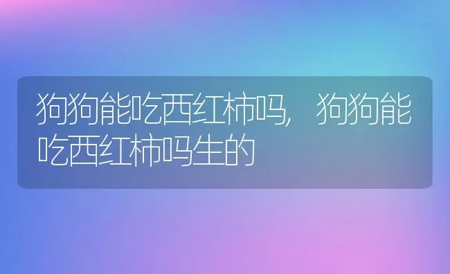 狗狗能吃西红柿吗,狗狗能吃西红柿吗生的 | 宠物百科知识