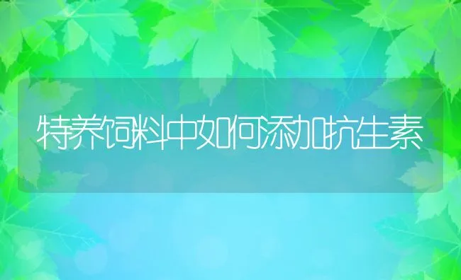 特养饲料中如何添加抗生素 | 动物养殖饲料