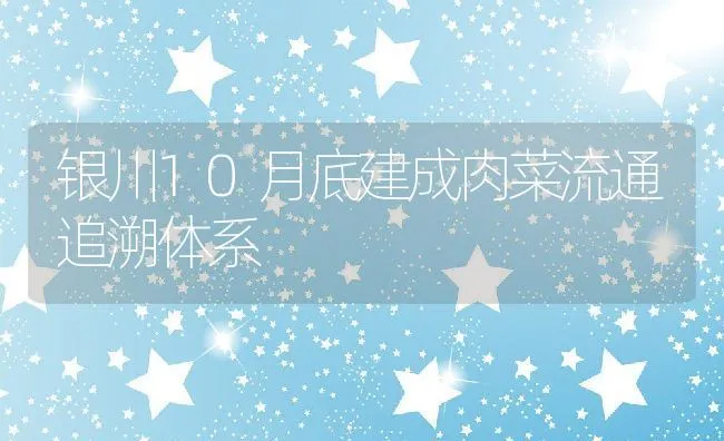 银川10月底建成肉菜流通追溯体系 | 动物养殖饲料