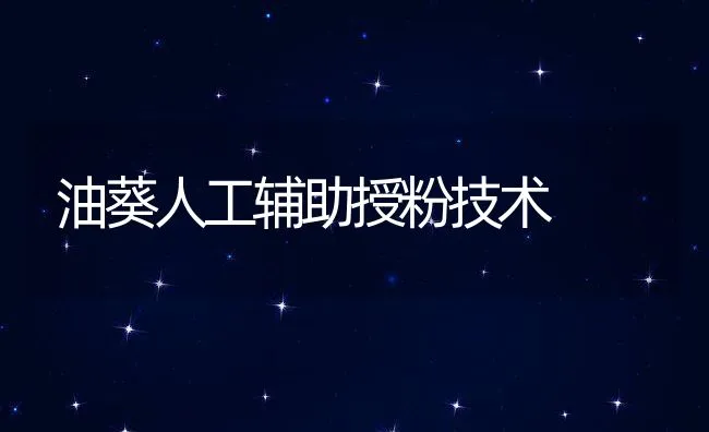 鸡舌根断裂咋办 | 动物养殖学堂