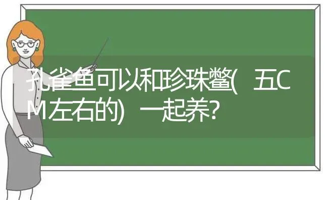 孔雀鱼可以和珍珠鳖(五CM左右的)一起养？ | 动物养殖问答