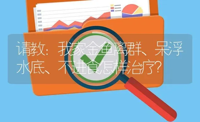 请教：我家金鱼离群、呆浮水底、不进食怎样治疗？ | 鱼类宠物饲养