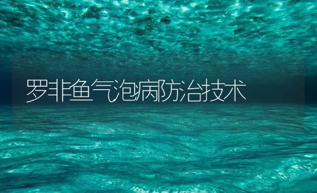 罗非鱼气泡病防治技术 | 海水养殖技术