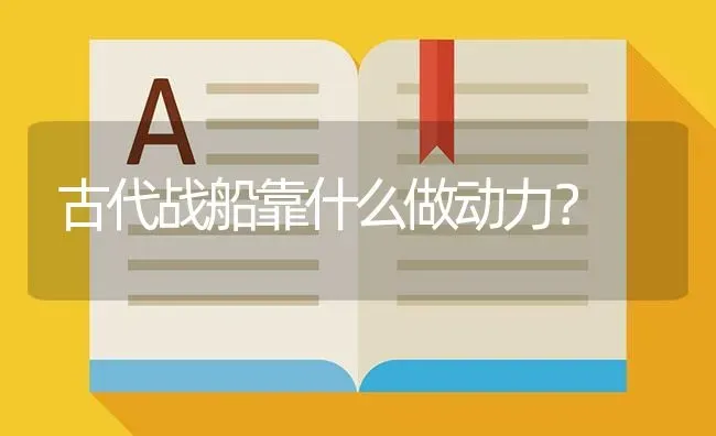 古代战船靠什么做动力？ | 鱼类宠物饲养