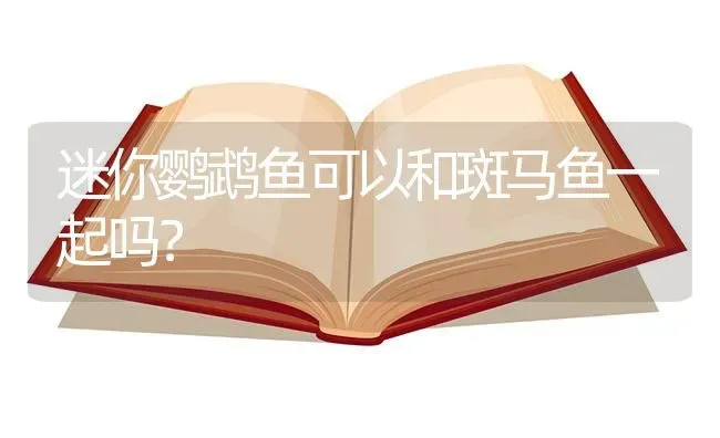 迷你鹦鹉鱼可以和斑马鱼一起吗？ | 鱼类宠物饲养