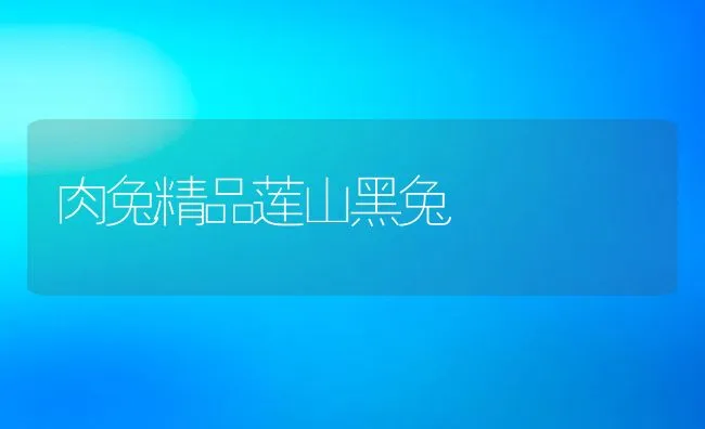 春季鱼苗入池八注意 | 海水养殖技术