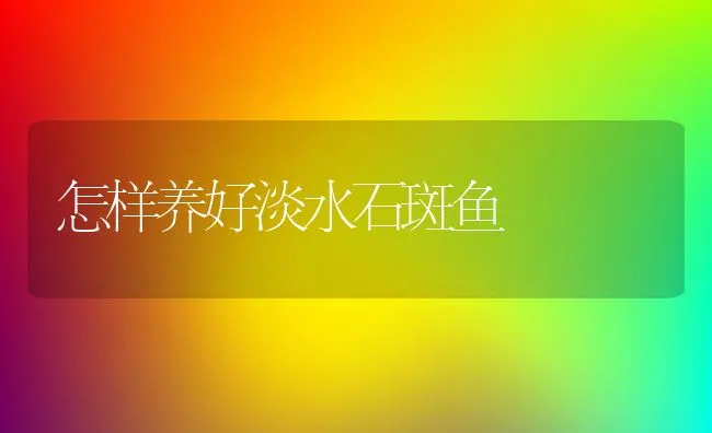 怎样养好淡水石斑鱼 | 动物养殖饲料