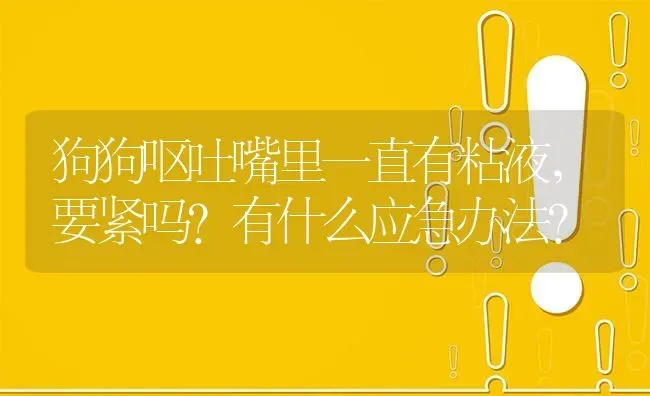 狗狗呕吐嘴里一直有粘液，要紧吗?有什么应急办法？ | 动物养殖问答