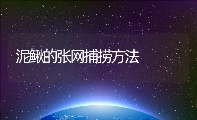 母羊缺奶用啥法来解决 | 动物养殖学堂