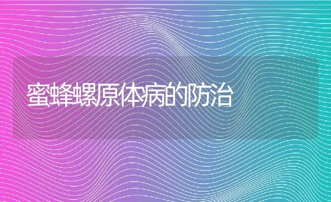 蜜蜂螺原体病的防治 | 动物养殖学堂