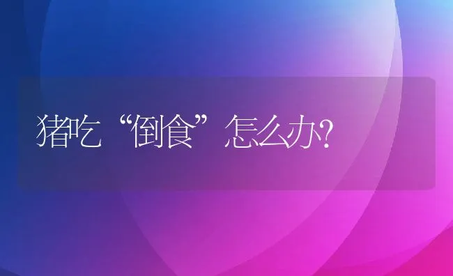 猪吃“倒食”怎么办？ | 动物养殖饲料