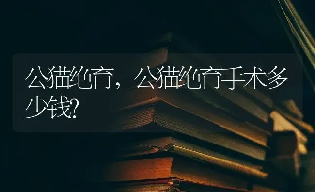 公猫绝育，公猫绝育手术多少钱？ | 动物养殖问答