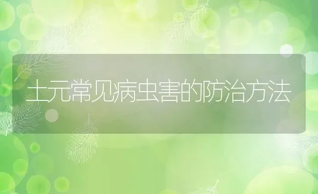 土元常见病虫害的防治方法 | 动物养殖教程