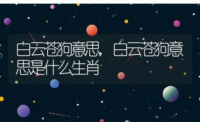 白云苍狗意思,白云苍狗意思是什么生肖 | 宠物百科知识