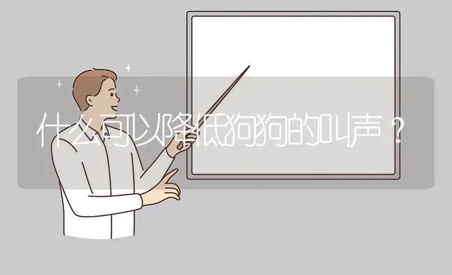 什么可以降低狗狗的叫声？ | 动物养殖问答