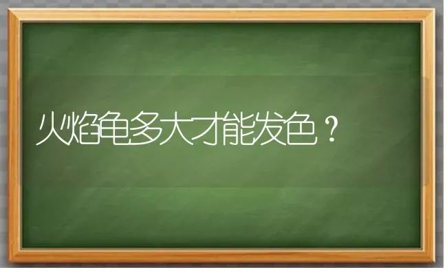 火焰龟多大才能发色？ | 动物养殖问答