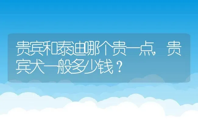 贵宾和泰迪哪个贵一点,贵宾犬一般多少钱？ | 宠物百科知识