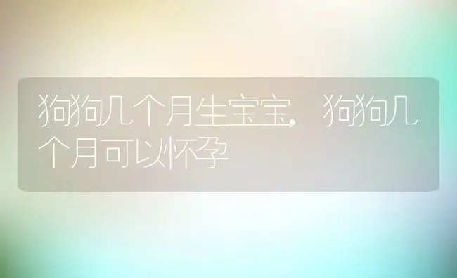 狗狗几个月生宝宝,狗狗几个月可以怀孕 | 宠物百科知识