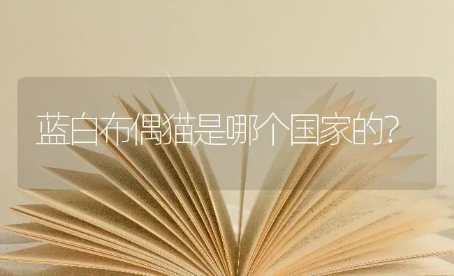 伯恩山犬好养么?有没有体臭。怎么照顾？ | 动物养殖问答