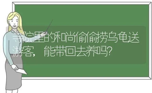 寺院里的和尚偷偷捞乌龟送游客,能带回去养吗？ | 动物养殖问答