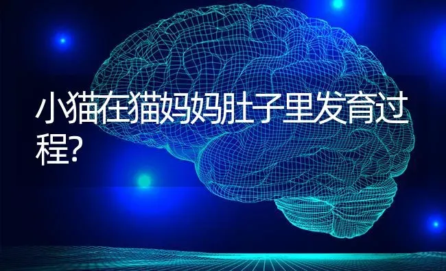 小狗起什么名字好听？ | 动物养殖问答