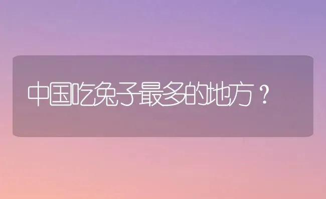 中国吃兔子最多的地方？ | 动物养殖问答