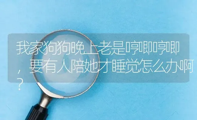 我家狗狗晚上老是哼唧哼唧，要有人陪她才睡觉怎么办啊？ | 动物养殖问答