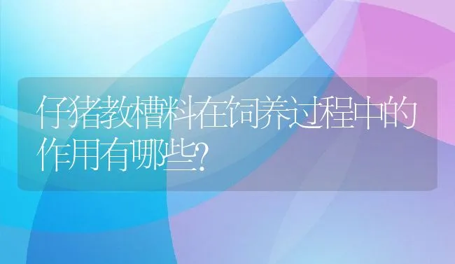 仔猪教槽料在饲养过程中的作用有哪些？ | 动物养殖饲料