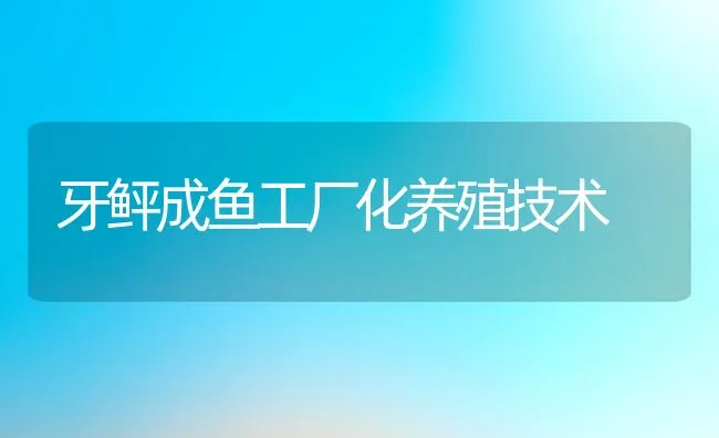 牙鲆成鱼工厂化养殖技术 | 动物养殖饲料