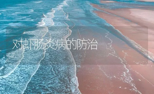 对虾肠炎病的防治 | 海水养殖技术