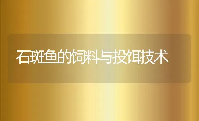 石斑鱼的饲料与投饵技术 | 动物养殖教程