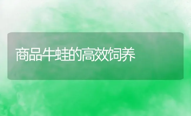 放养鱼苗须防气泡病 | 海水养殖技术