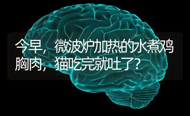 今早，微波炉加热的水煮鸡胸肉，猫吃完就吐了？ | 动物养殖问答