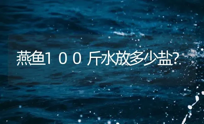 燕鱼100斤水放多少盐？ | 鱼类宠物饲养