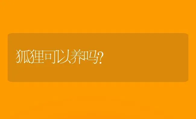 狐狸可以养吗？ | 动物养殖问答