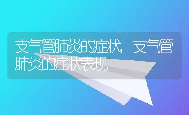 支气管肺炎的症状,支气管肺炎的症状表现 | 宠物百科知识