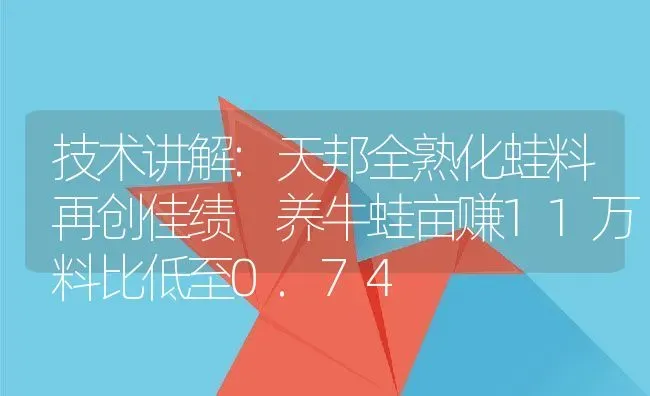 技术讲解:天邦全熟化蛙料再创佳绩 养牛蛙亩赚11万料比低至0.74 | 动物养殖百科