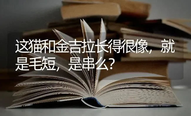 细小病毒是不是熬过去就没事了？ | 动物养殖问答