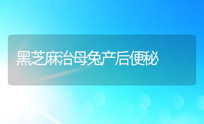 黑芝麻治母兔产后便秘 | 动物养殖学堂