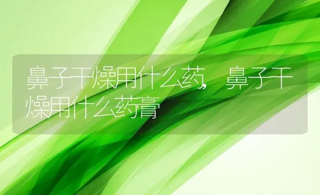 鼻子干燥用什么药,鼻子干燥用什么药膏 | 宠物百科知识