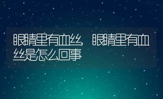 眼睛里有血丝,眼睛里有血丝是怎么回事 | 宠物百科知识