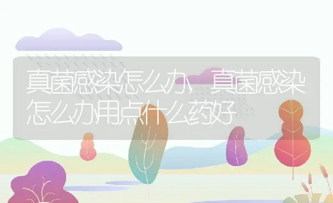 真菌感染怎么办,真菌感染怎么办用点什么药好 | 宠物百科知识