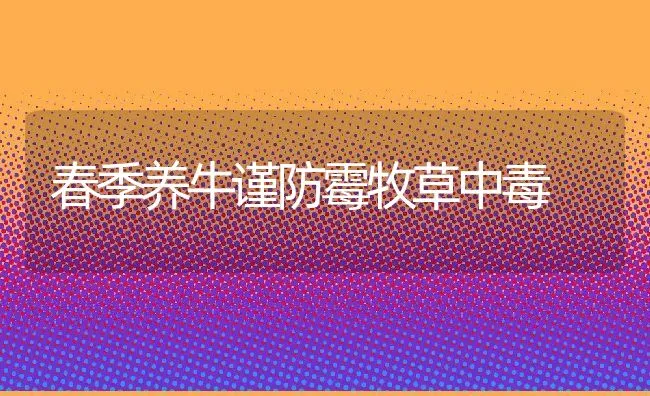 可降低养殖成本提高效益的虾饲料 | 海水养殖技术