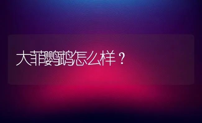 大菲鹦鹉怎么样？ | 动物养殖问答