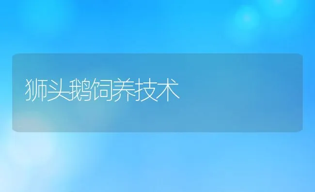 近海滩涂增殖放流日本对虾报告 | 海水养殖技术