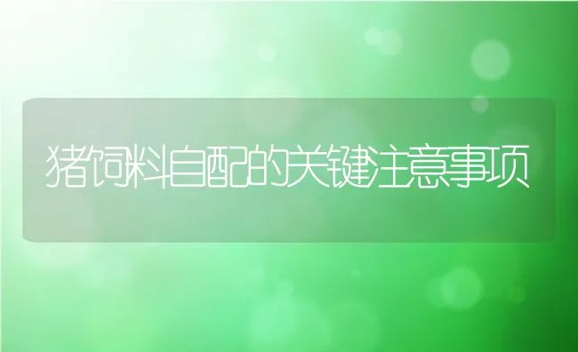 海参网箱生态育苗质量优于室内苗 | 海水养殖技术