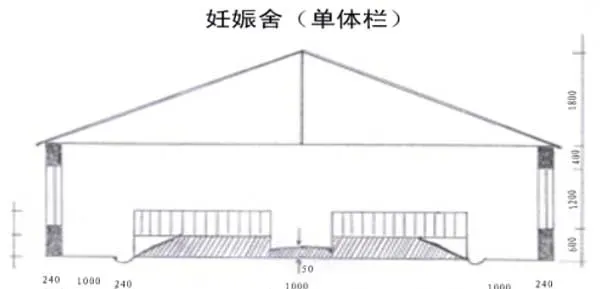 100头母猪养猪场设计图